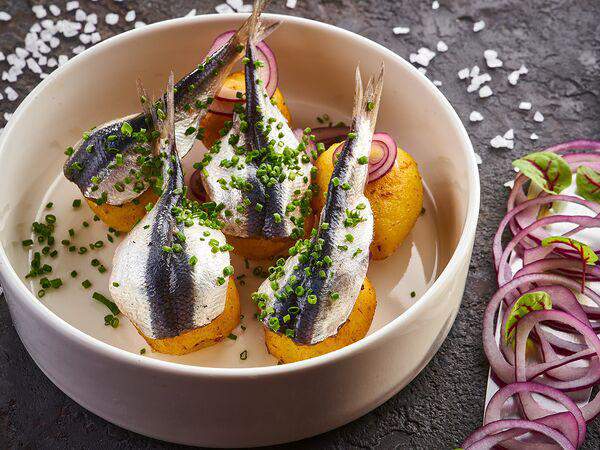 Eshak - Балтийская килька