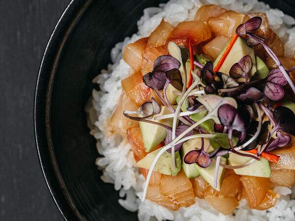 Shiba - Чираши хамачи