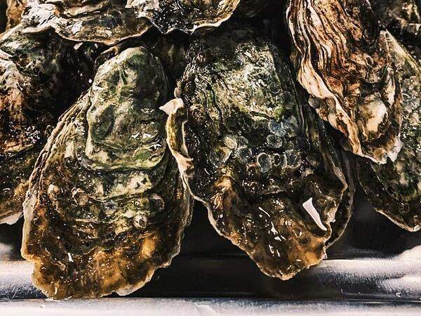 Dorada Rada - Дюжина Устриц