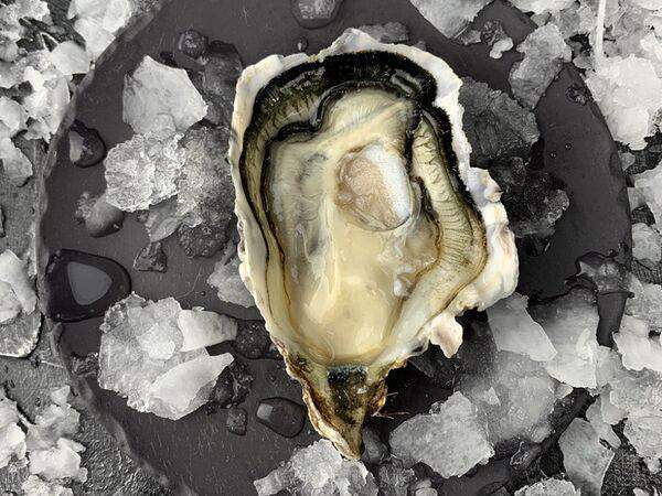 Delicates74 - Устрица Фин де Клер