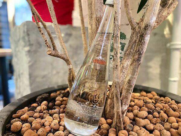 Avocado queen - Evian