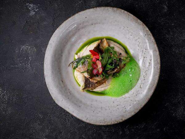 Duran Bar & Grill - Треска с кремом из сельдерея