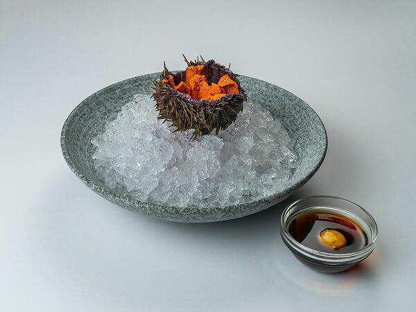 Skzk Rest - Морской ёж