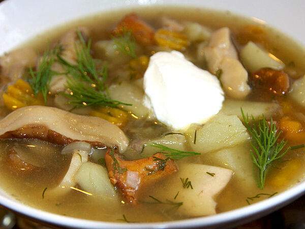 Залив - Суп с лесными грибами