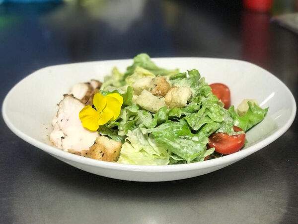 Маидат - Цезарь с курицей