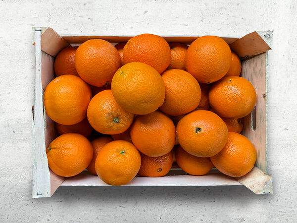 Чайхона №1 Тимура Ланского - Апельсины для сока (ящик 14 кг)