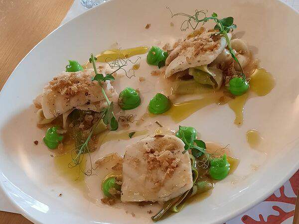 Рыбы бы - Кальмар с кремом из кабачков