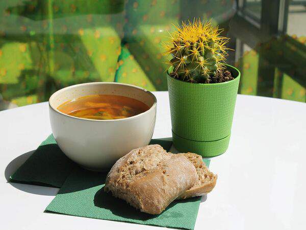 Cactus - Бизнес-ланч №1