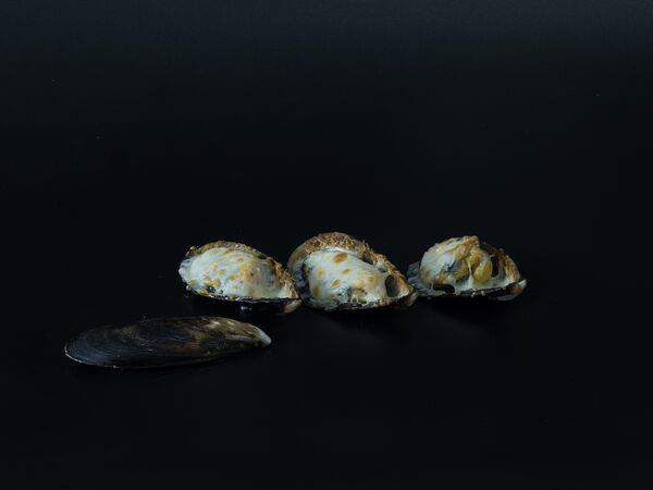 New Woker - Мидии, запеченные с сыром и чесноком