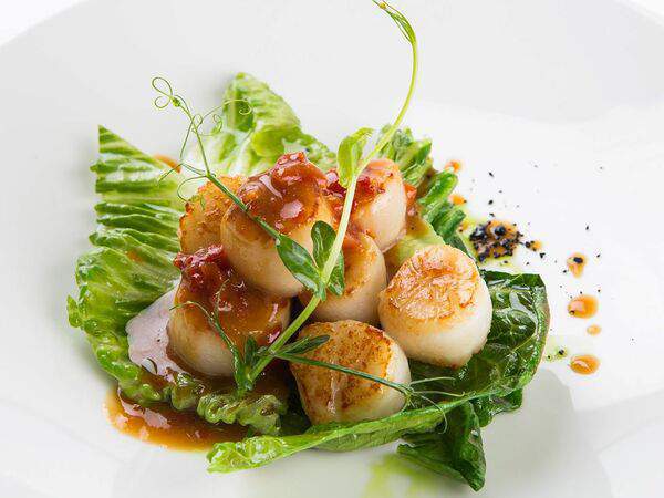 Труффальдино - Теплые гребешки с устричным соусом