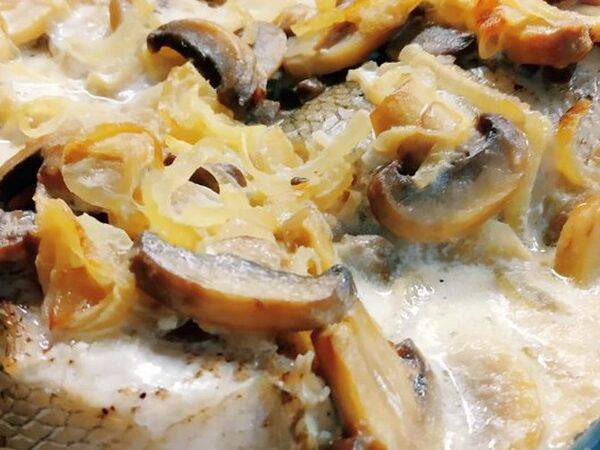 Старая мельница - Судак в сметано-грибном соусе