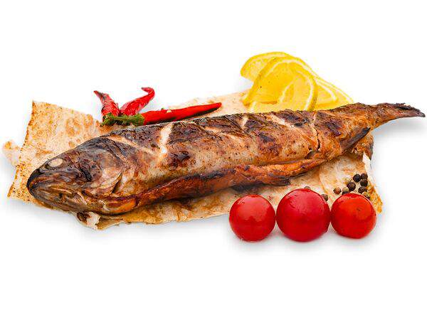 Shashray - Форель радужная