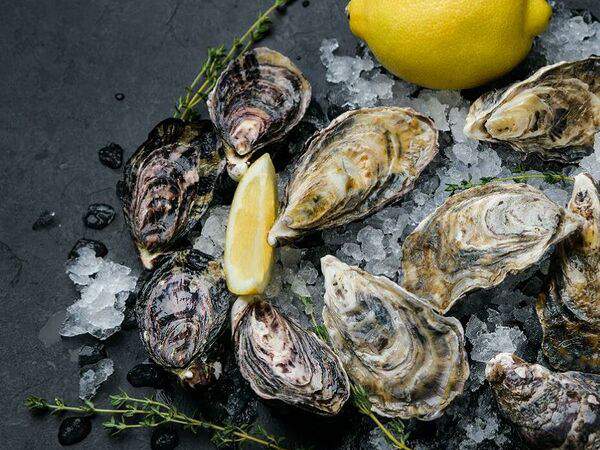 Pelican - Сет дюжина джоли