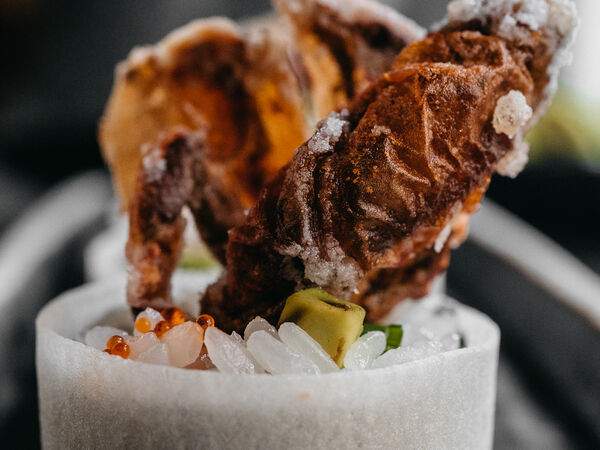 Shiba - Ролл Дапигани