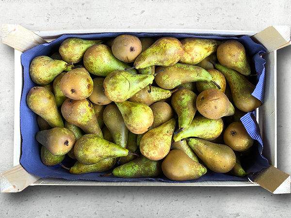 Чайхона №1 Тимура Ланского - Груша Конференс (ящик 12 кг)