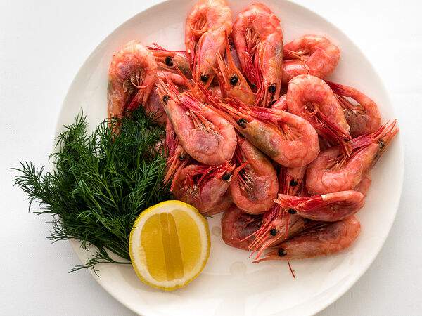 Причал - Креветки северные