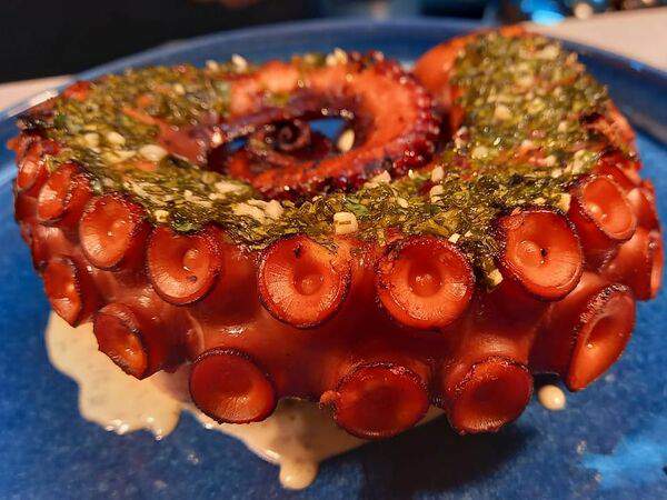 Белый берег - Осьминог гриль