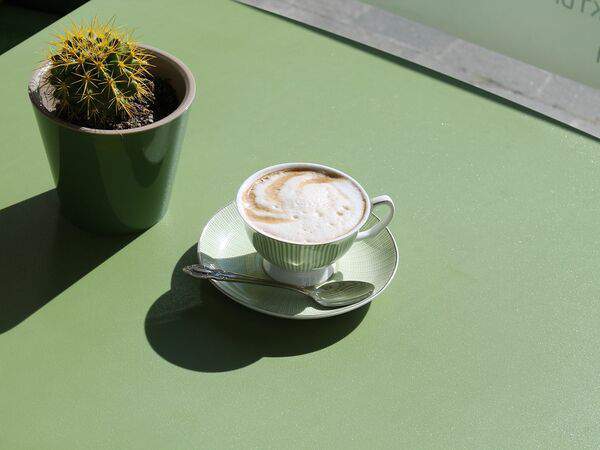 Cactus - Капучино классический