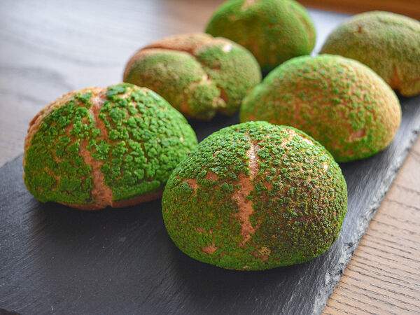 Десертория - Шу с заварным фисташковым кремом