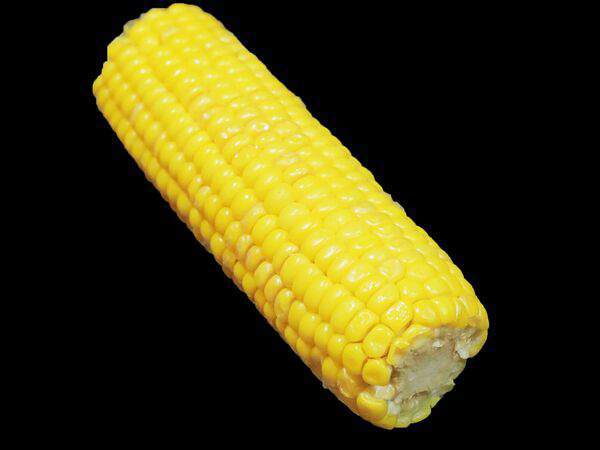 Рога лося - Кукуруза варёная