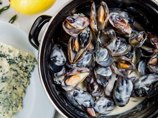 Кафе-brasserie Бригантина - Мидии Дор блю