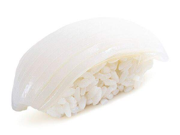 Shikado - Кальмар