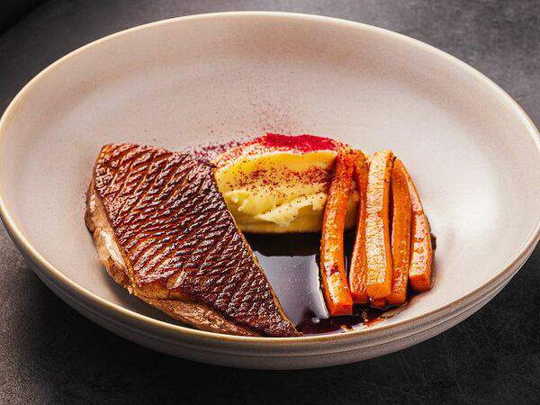 Сказка Skazka Печь & Гриль - Фермерская утиная грудка